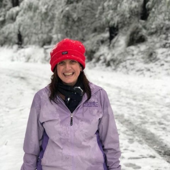 Meet your Posher, Daisy - Picture 1 of 1